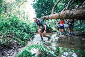 BIB: 
                            <button type="button" onclick="openModal(25445792)" class="btn btn-primary btn-sm float-right btn-popup" data-toggle="modal" data-target=".modal-high-quality">
                        <i class="fas fa-shopping-cart"></i> Add to Cart
                    </button>
                                            <button type="button" onclick="isThisMe(25445792, true)" class="btn btn-success btn-sm float-right btn-popup btn-isme hidden" data-toggle="tooltip" data-placement="bottom" title="นี่คือรูปของคุณใช่ไหม คลิกที่นี่เพื่อเอาเข้าอัลบั้ม">
                        <i class="fas fa-plus"></i> Add to album
                    </button>
                    <button type="button" onclick="isThisMe(25445792, false)" class="btn btn-warning btn-sm float-right btn-popup btn-isnotme hidden">
                        <i class="fas fa-ban"></i> Remove from album
                    </button>